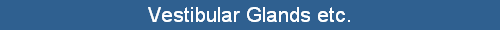 Vestibular Glands etc.