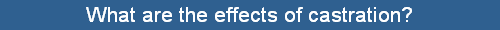What are the effects of castration?