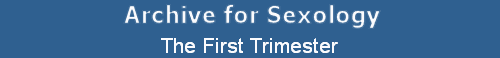 The First Trimester