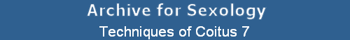 Techniques of Coitus 7