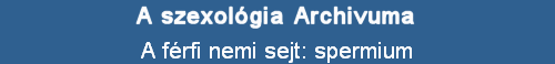 A frfi nemi sejt: spermium