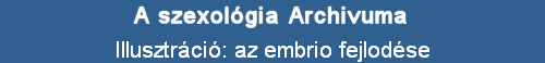 Illusztrci: az embrio fejlodse