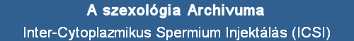 Inter-Cytoplazmikus Spermium Injektls (ICSI)
