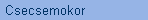 Csecsemokor