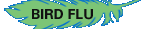 AVIAN FLU